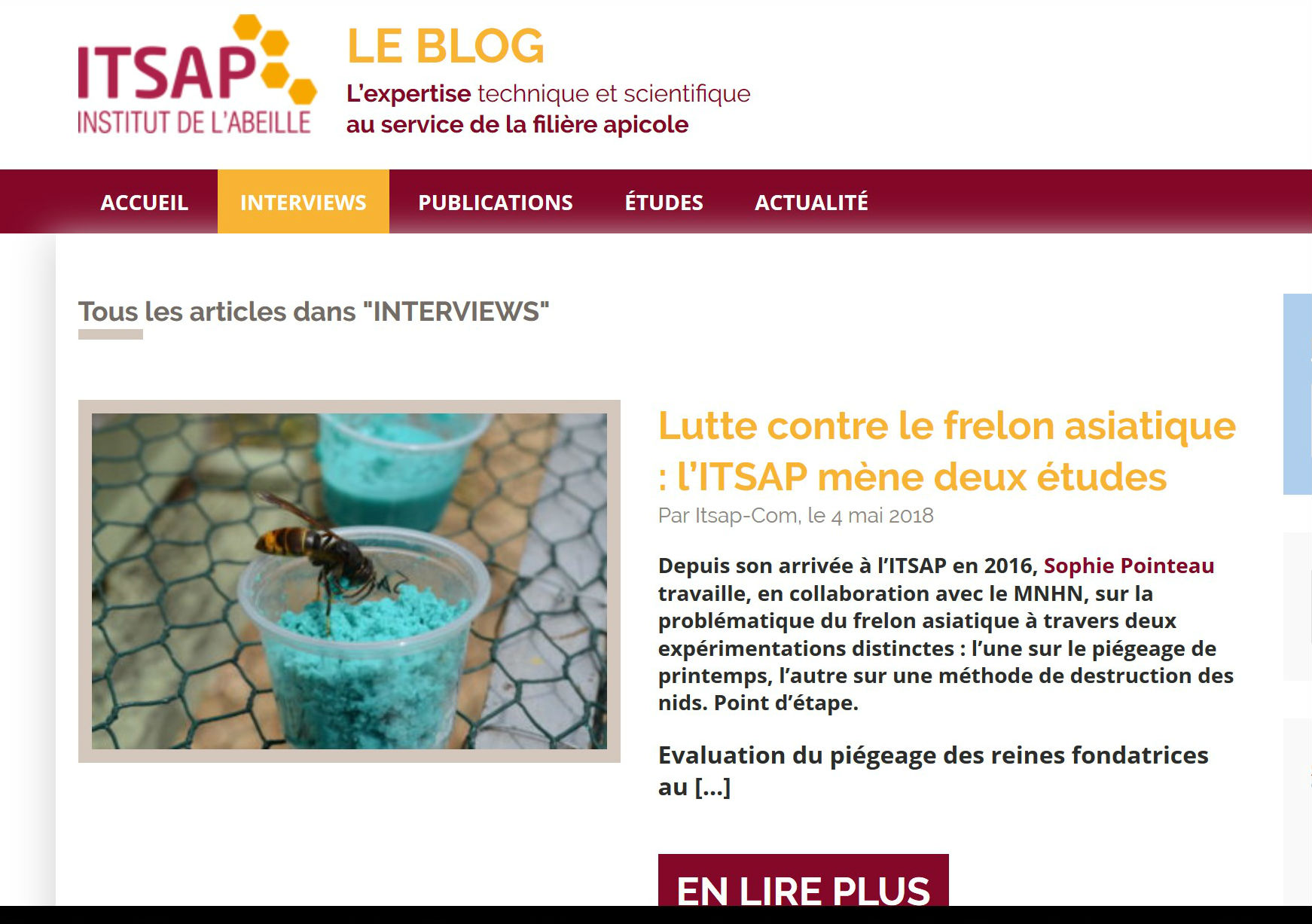 blog Itsap